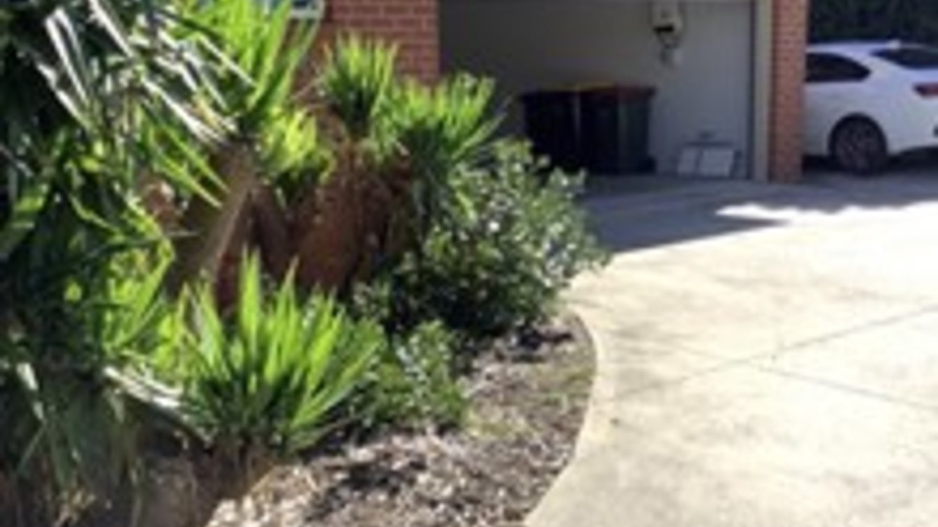 Modern and spacious 3-bedroom home  - 1/5 Crowther Dr, Junction Hill NSW 2460 - 2