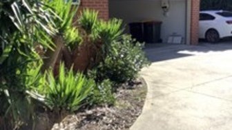 Modern and spacious 3-bedroom home  - 1/5 Crowther Dr, Junction Hill NSW 2460 - 2