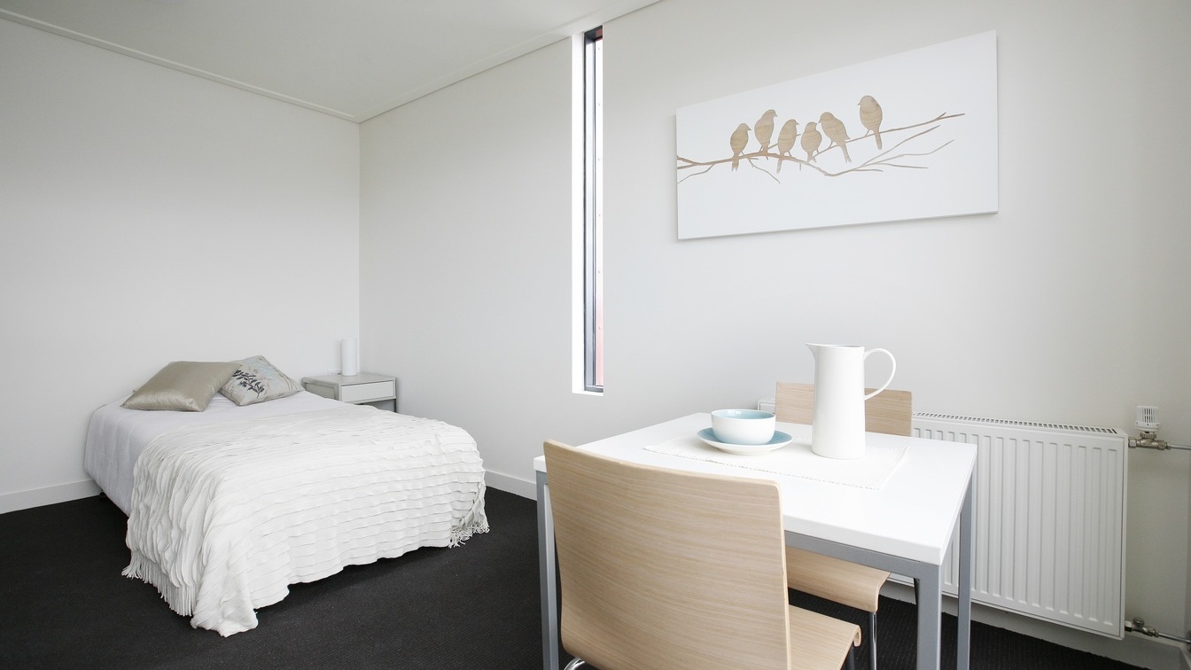 Pet friendly NRAS Studio in Camperdown - 31 Pyrmont Bridge Rd, Camperdown NSW 2050 - 4