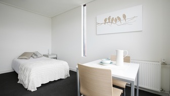 Pet friendly NRAS Studio in Camperdown - 319/31 Pyrmont Bridge Rd, Camperdown NSW 2050 - 4