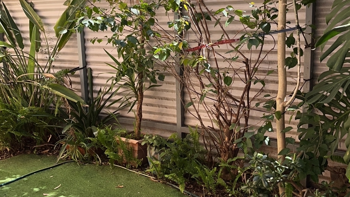 Affordable Housing for Women's Housing Company - 1 bedroom - 1 Rowley St, Eveleigh NSW 2015 - 1