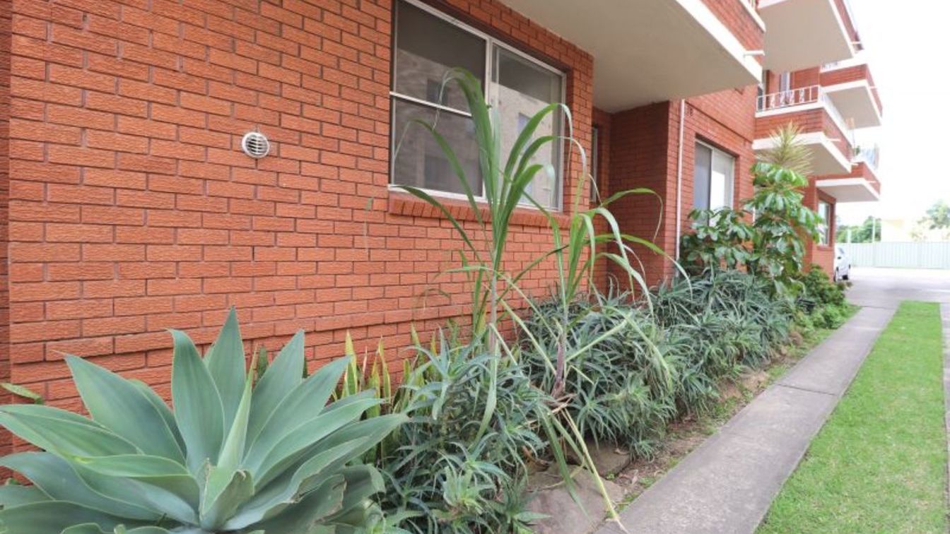 Sought after peaceful park-side apartment - Affordable Housing - 11/11 Loftus St, Ashfield NSW 2131 - 1