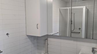  Affordable pet friendly studio apartment Camperdown - 31 Pyrmont Bridge Rd, Camperdown NSW 2050 - 3